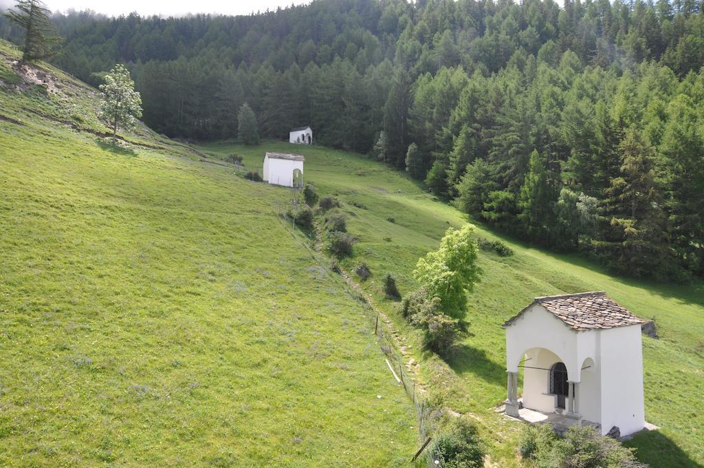 Hotel Gebidem Visperterminen Экстерьер фото